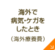 海外で病気・ケガをしたとき（海外療養費）